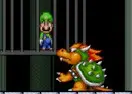 Super Mario Save Luigi