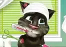 Jogar Talking Tom after injury - Animais