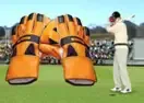 Jogar Test Catch Cricket - Agilidade