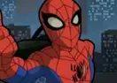 Jogar The Spectacular Spider-Man Spiderbike Racing