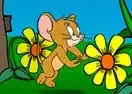 Jogar Tom and Jerry Cheese Hunt - Desenhos Animados