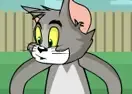 Jogar Tom and Jerry Cheese War 2 - Desenhos Animados