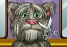 Tom Cat Shaving
