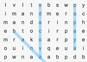 Word Search